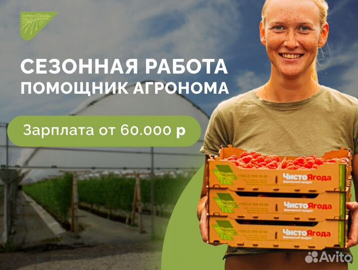 Помощник агронома подработка