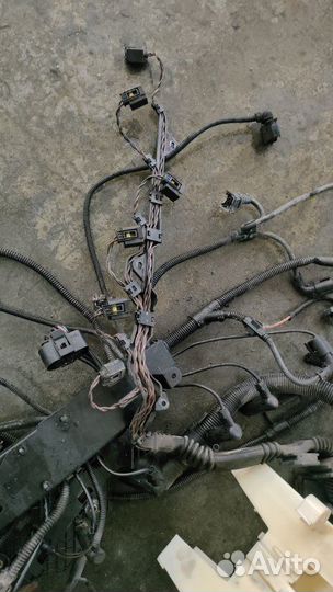Проводка двигателя Bmw 530 D E61 M57N 306D2EU4