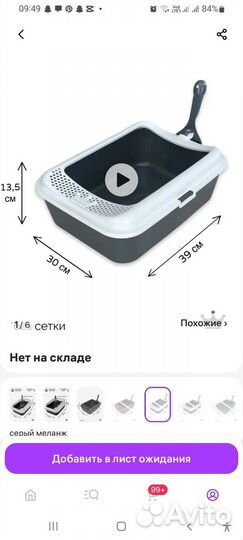 Котята сиамская