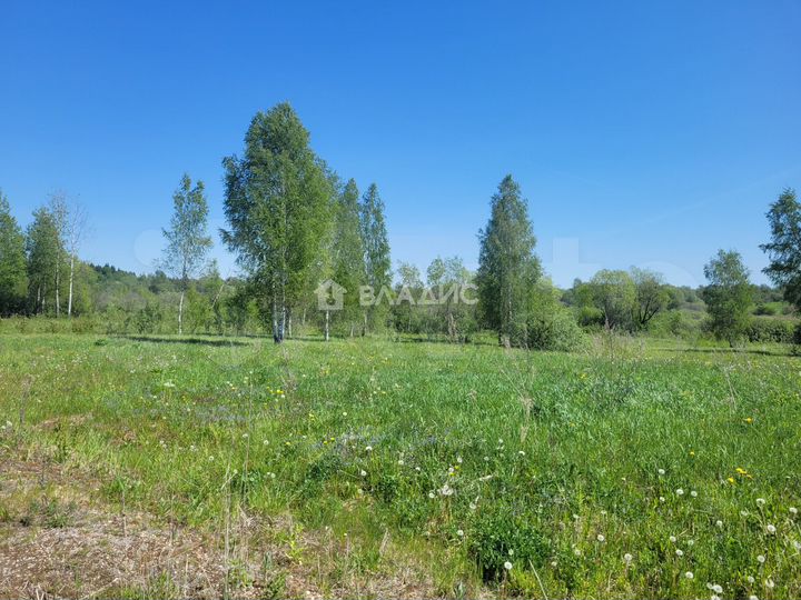 Участок 4 га (ИЖС)