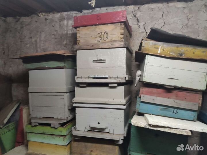 Продам ульи для пчел