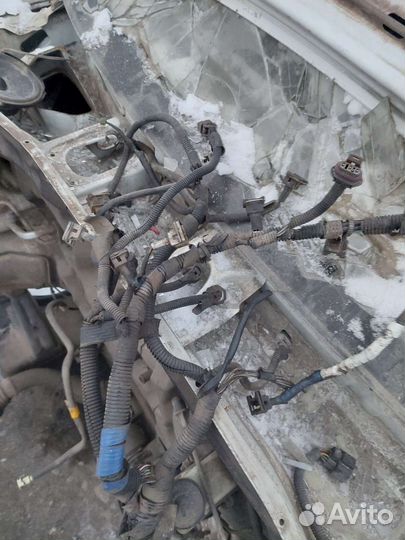 Проводка двигателя Chevrolet Lacetti