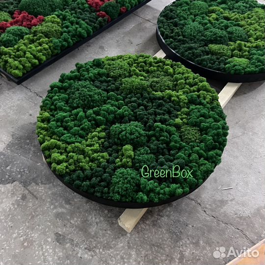 Панно из мха