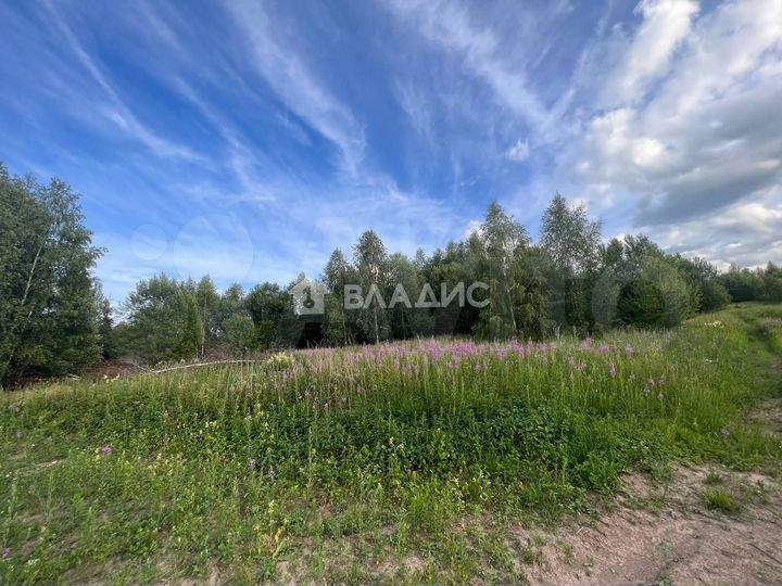 Участок 12,9 сот. (ИЖС)