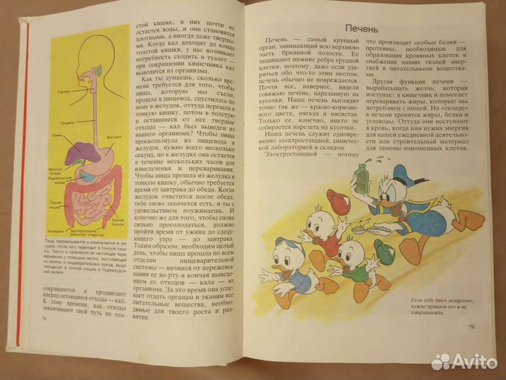 Книга детская Расти здоровым Ротенберг