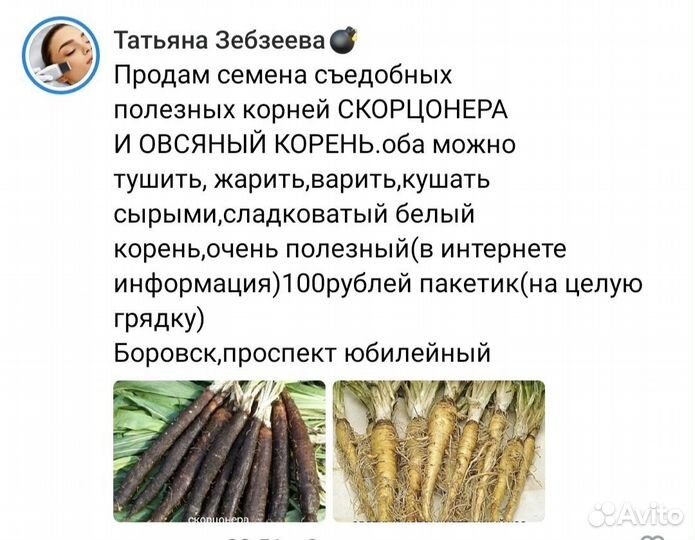 Растения для сада