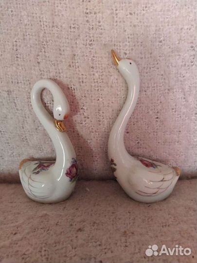 Пара лебедей
