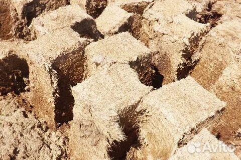 Торф верховой (кислый)