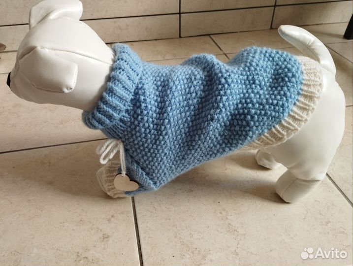 Костюм для собаки