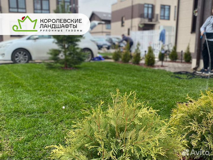 Рулонный газон