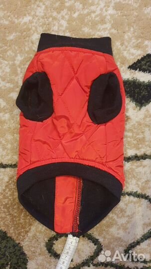 Жилет для собак мелких пород