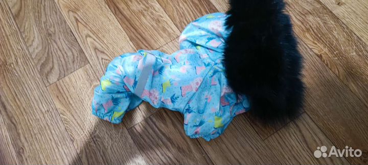 Одежда для мини собачки