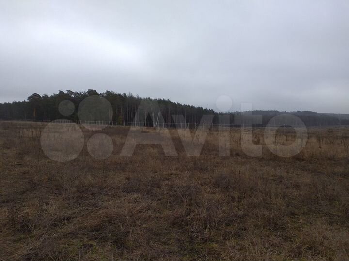 Участок 6 га (ИЖС)