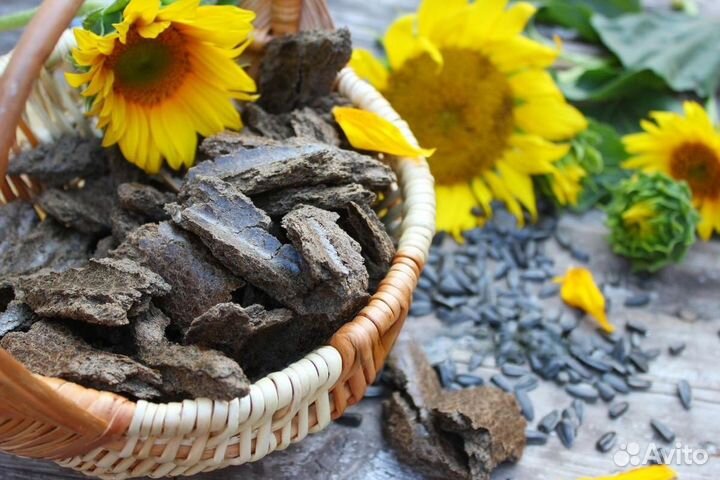 Жмых от производителя ГОСТ