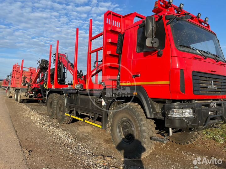 МАЗ 6317F9 с КМУ, 2024