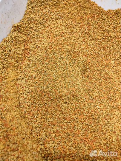 Пыльца пчелиная 2024г