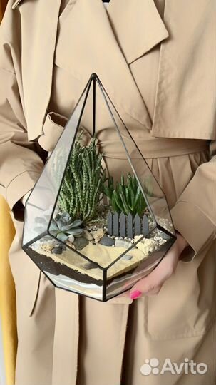 Флорариум в геометрической форме