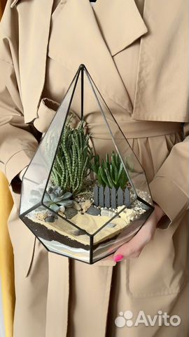 Флорариум в геометрической форме