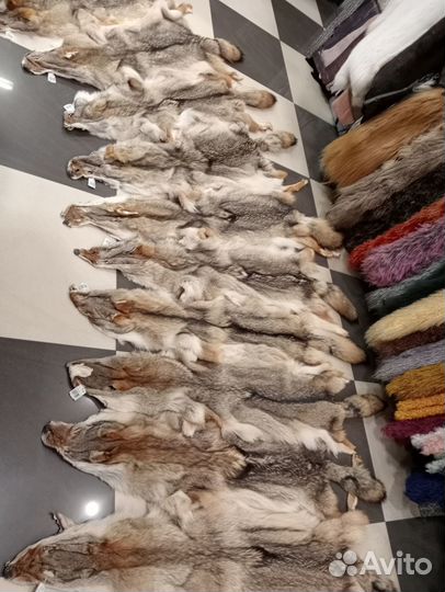 Натуральный мех койот, луговой волк шкурки