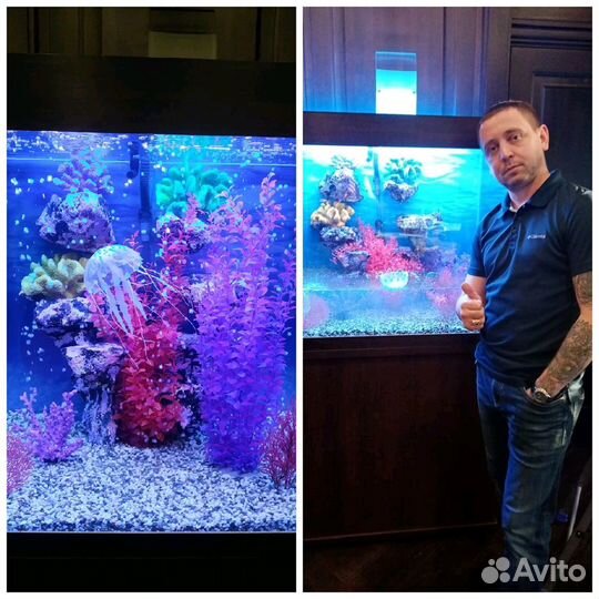 Продажа Аквариумов от 300 литр (Ремонт) Хабаровск