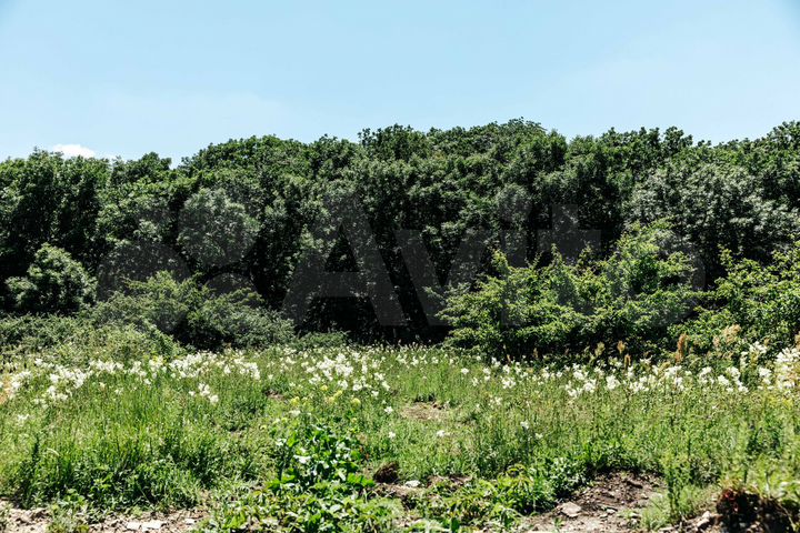 Участок 10,9 сот. (ИЖС)