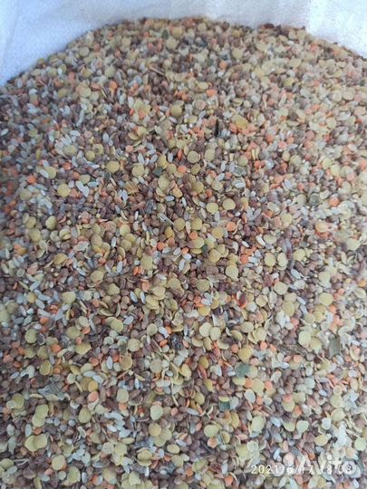 Зерносмесь Крупа (корма)