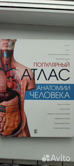 Популярный атлас анатомии человека