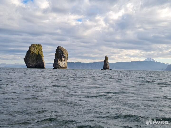 Морские прогулки по Авачинской бухте