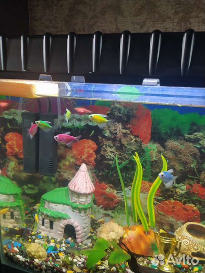 Аквариум с тумбой рыбками фильтром ситом всем на ф