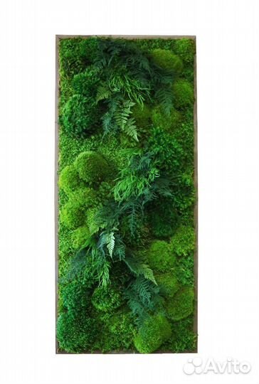 Панель из мха 40 см