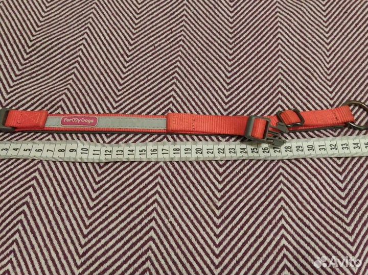 Ошейник для маленьких собак/кошек