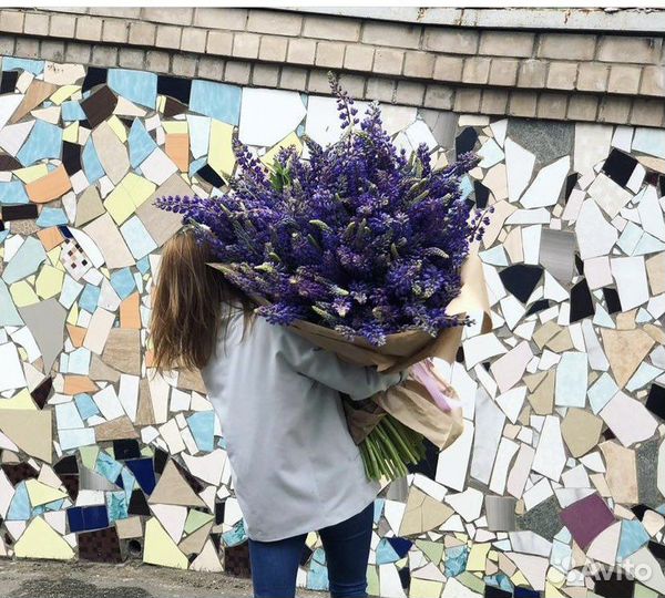 Большой букет люпинов