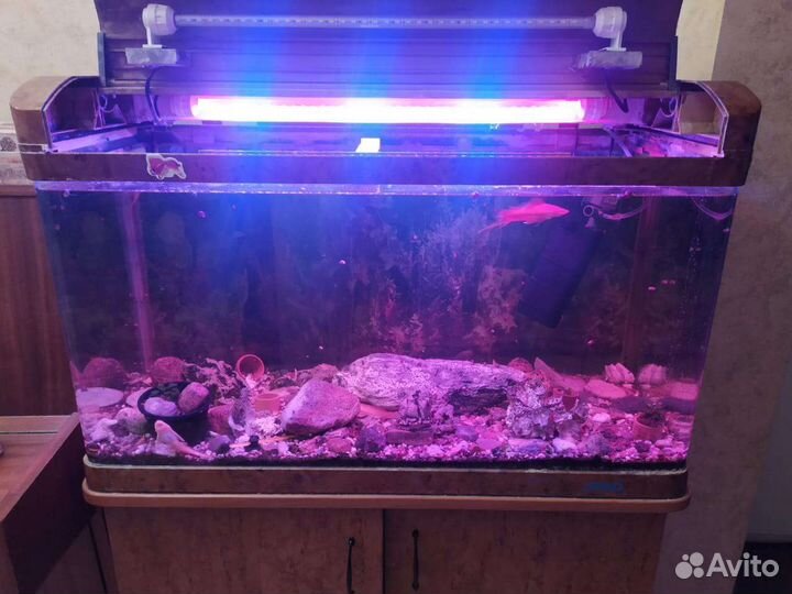 Чистка аквариума