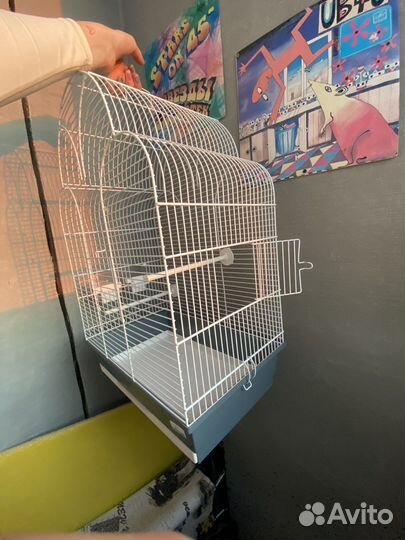 Клетка для попугая корелла