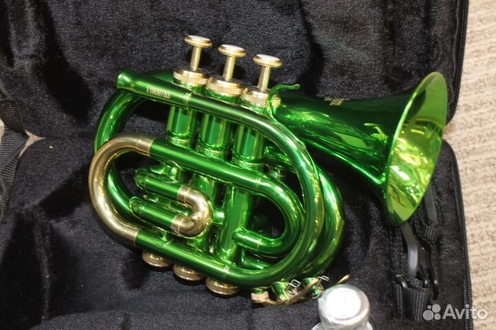 Труба Roy Benson PT-101E