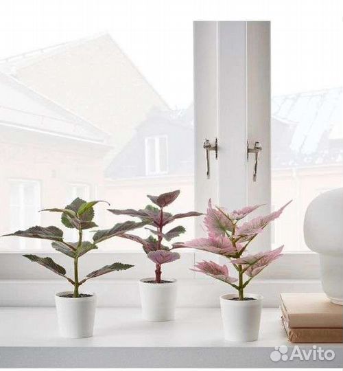 Кактусы IKEA, искусственные цветы