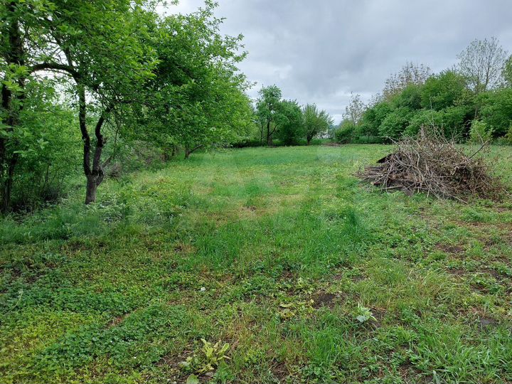 Дом 43 м² на участке 25 сот.