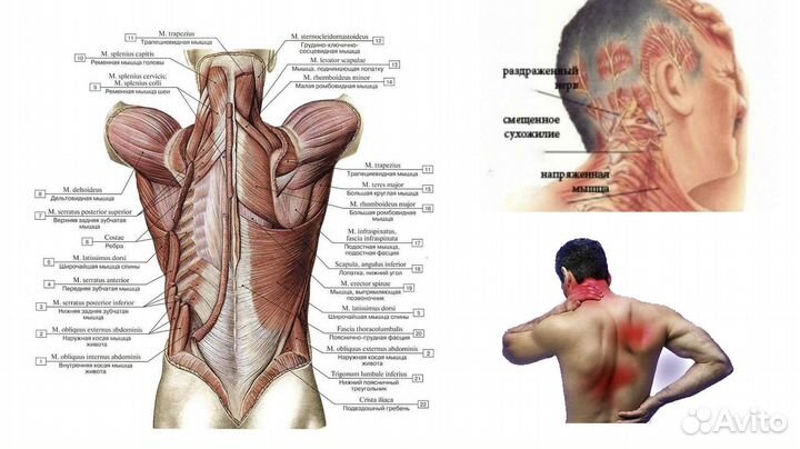 Консультация массажиста