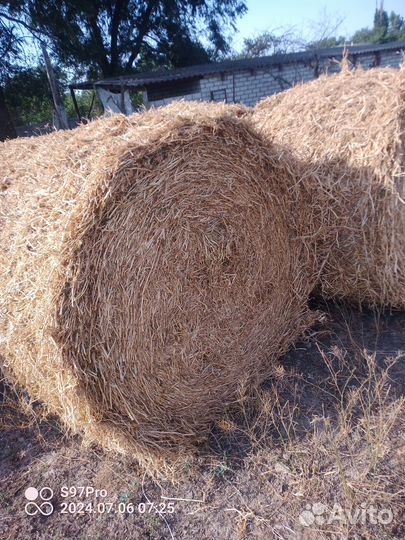 Гороховая солома