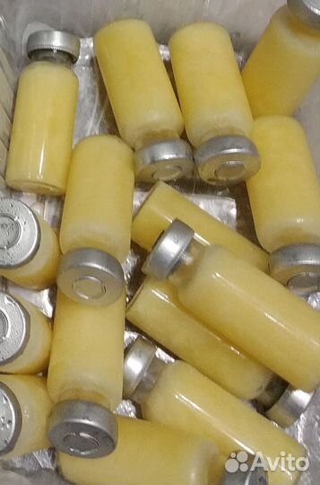 Маточное молчко пчелиные