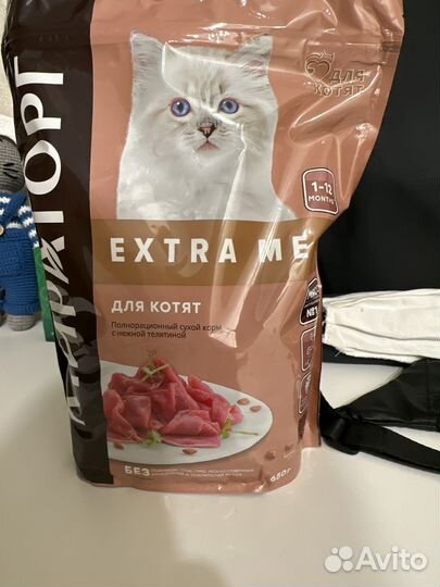 Корм для котят