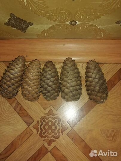 Шишки для творчества