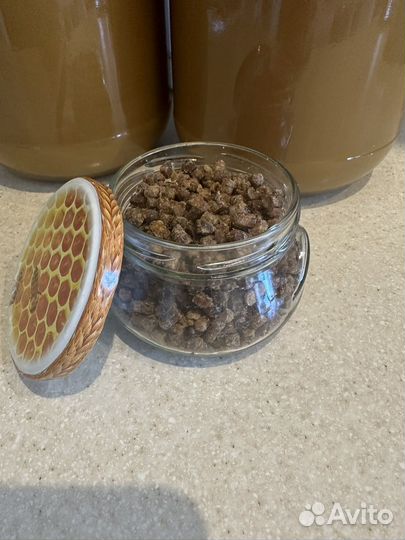 Перга пчелиная