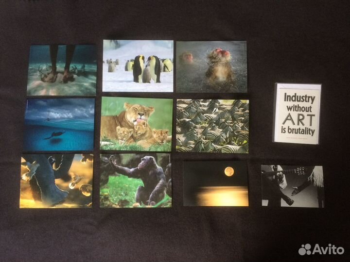 Подборка из 11ти художественных открыток