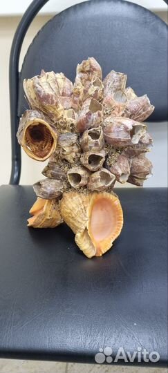 Уникальный подарок для рыбака