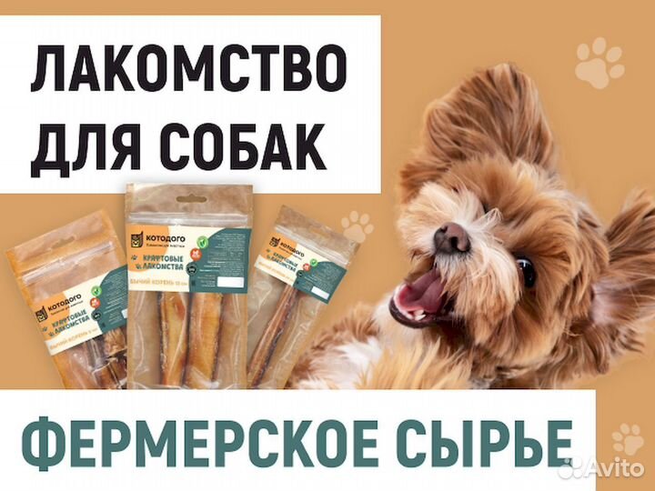 Бычий корень. Без химии