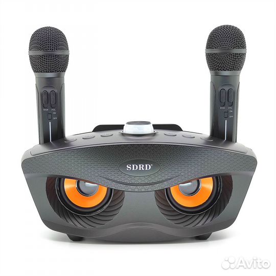 Караоке система sdrd SD-306 20Вт. Черная