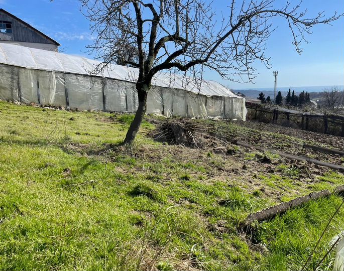 Участок 4 сот. (ИЖС)