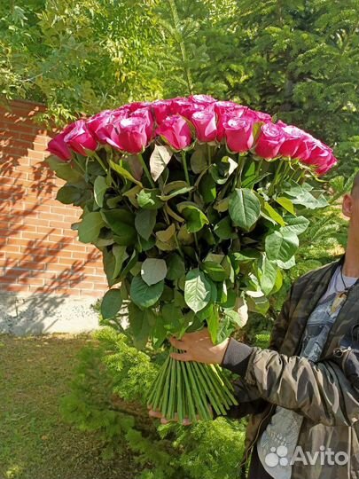 Роза сорт Принс Персей. Букеты от 15 шт