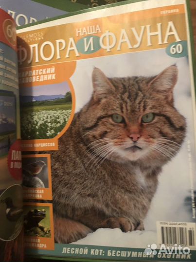 Журналы Наша флора и фауна